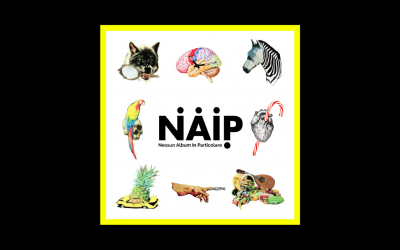 N.A.I.P. – Nessun Album In Particolare