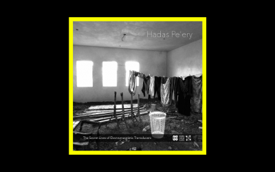 Hadas Pe’ery – The Secret Lives of Electromagnetic Transducers