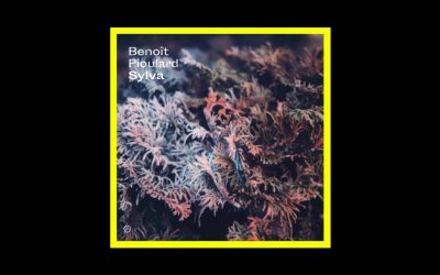 Benoît Pioulard – Sylva