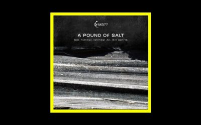 Jeff Kimmel, Ishmael Ali, Bill Harris – A Pound Of Salt