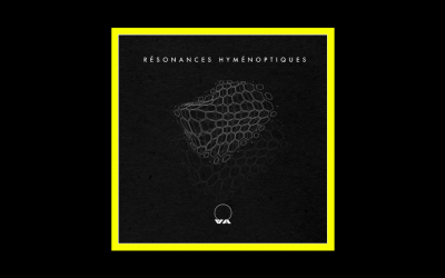 AkA and Cat – Résonances Hyménoptiques