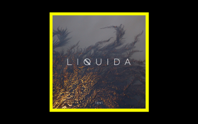 Levi – Liquida