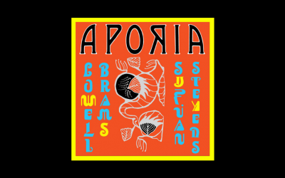 Sufjan Stevens & Lowell Brams – Aporia