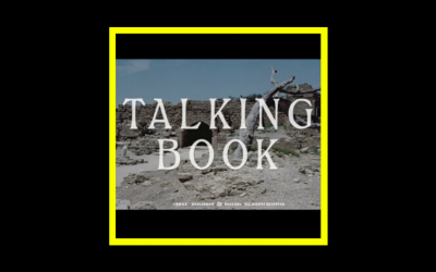 Talking Book -Talking Book II