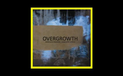 Gianluca Favaron | Anacleto Vitolo – Overgrowth