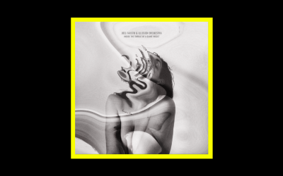 Joel Fausto & Illusion Orchestra – Inside The Throat Of A Giant Insect