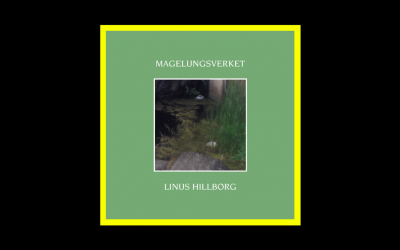 Linus Hillborg – Magelungsverket