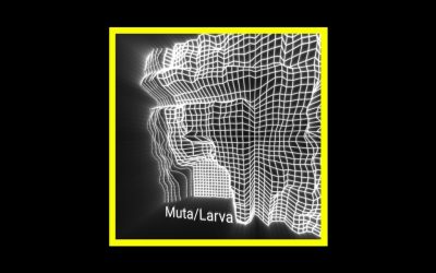 Simone Lalli – Muta/Larva