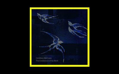 Ceridwen McCooey – The Conference of the Birds