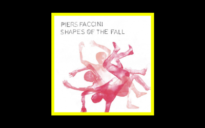 Piers Faccini – Shapes Of The Fall