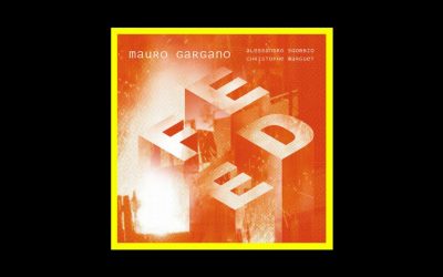 Mauro Gargano – Feed