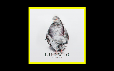 Stimming – Ludwig