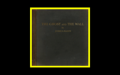 Joshua Radin – The Ghost and The Wall