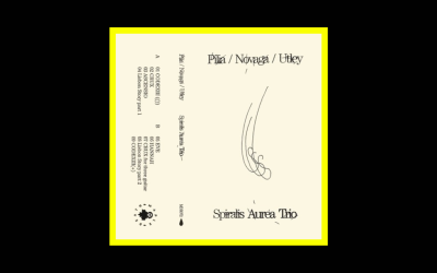 Stefano Pilia / Alessandra Novaga / Adrian Utley – Spiralis Aurea Trio